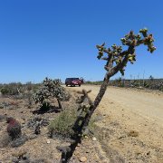 Baja2011 153 : Baja2011